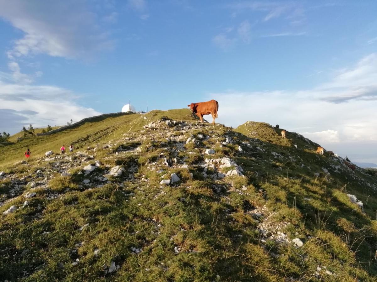 Cahute de montagne pour profiter du Haut Jura Prémanon Extérieur photo