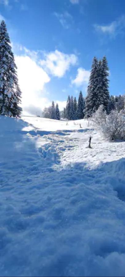 Cahute de montagne pour profiter du Haut Jura Prémanon Extérieur photo